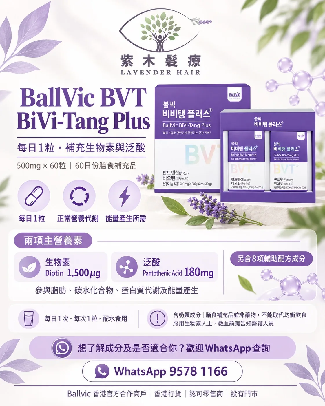 BiVi-Tang Plus (BVT)簡單版說明圖