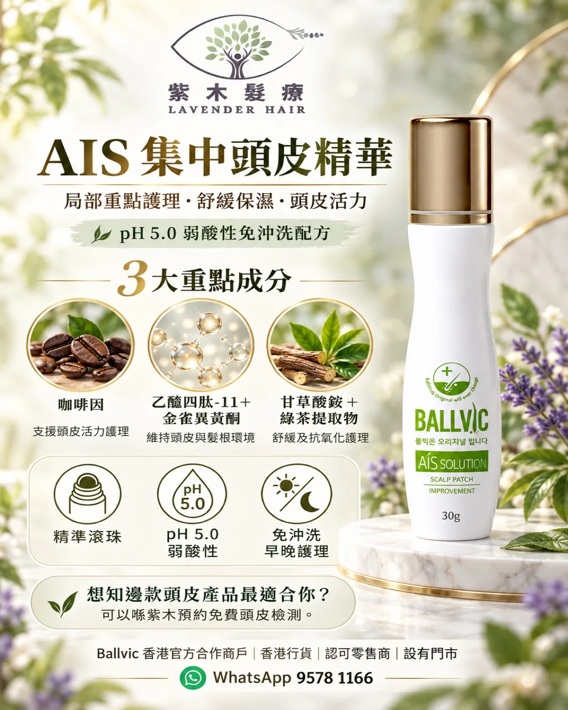 AIS Solution簡單版說明圖