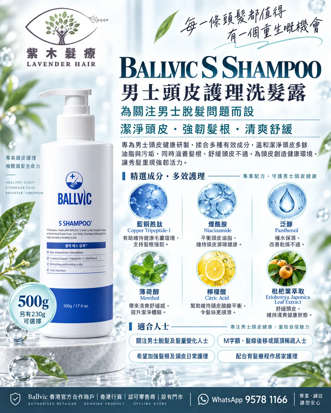S Shampoo詳細成分與產品說明圖
