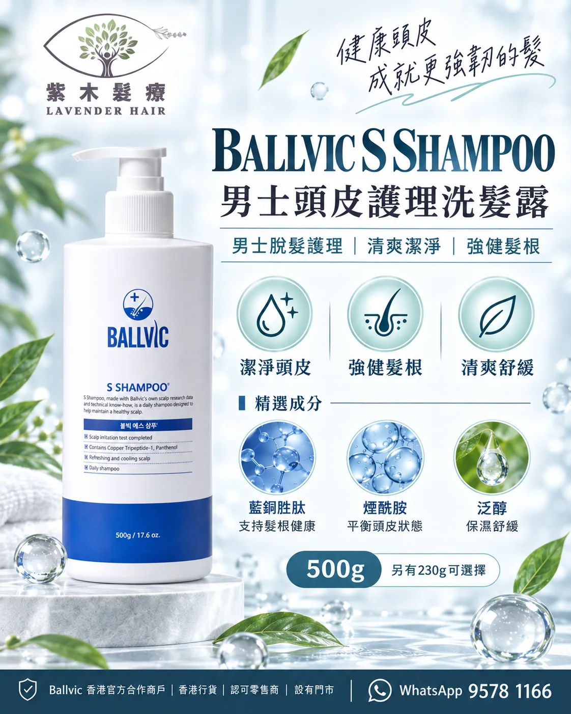 S Shampoo簡單版說明圖