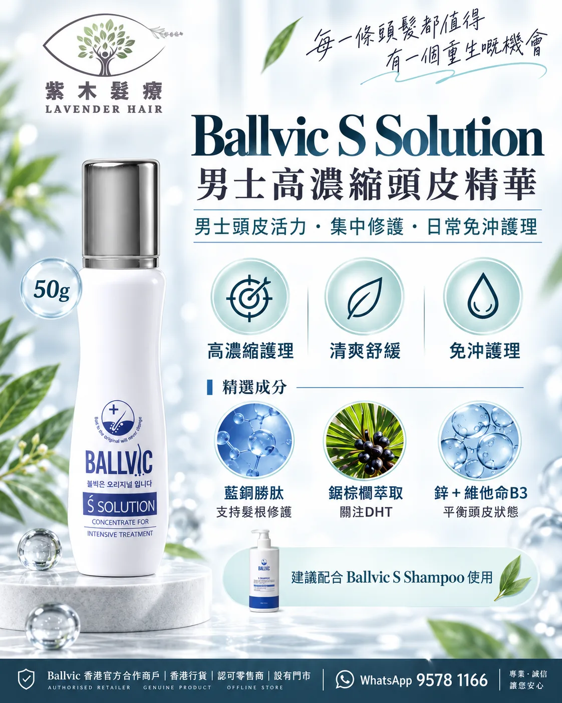 S Solution簡單版說明圖