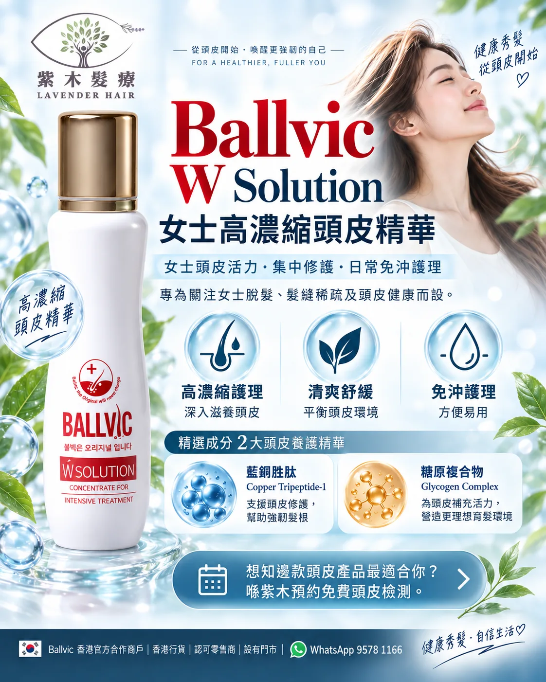 W Solution簡單版說明圖