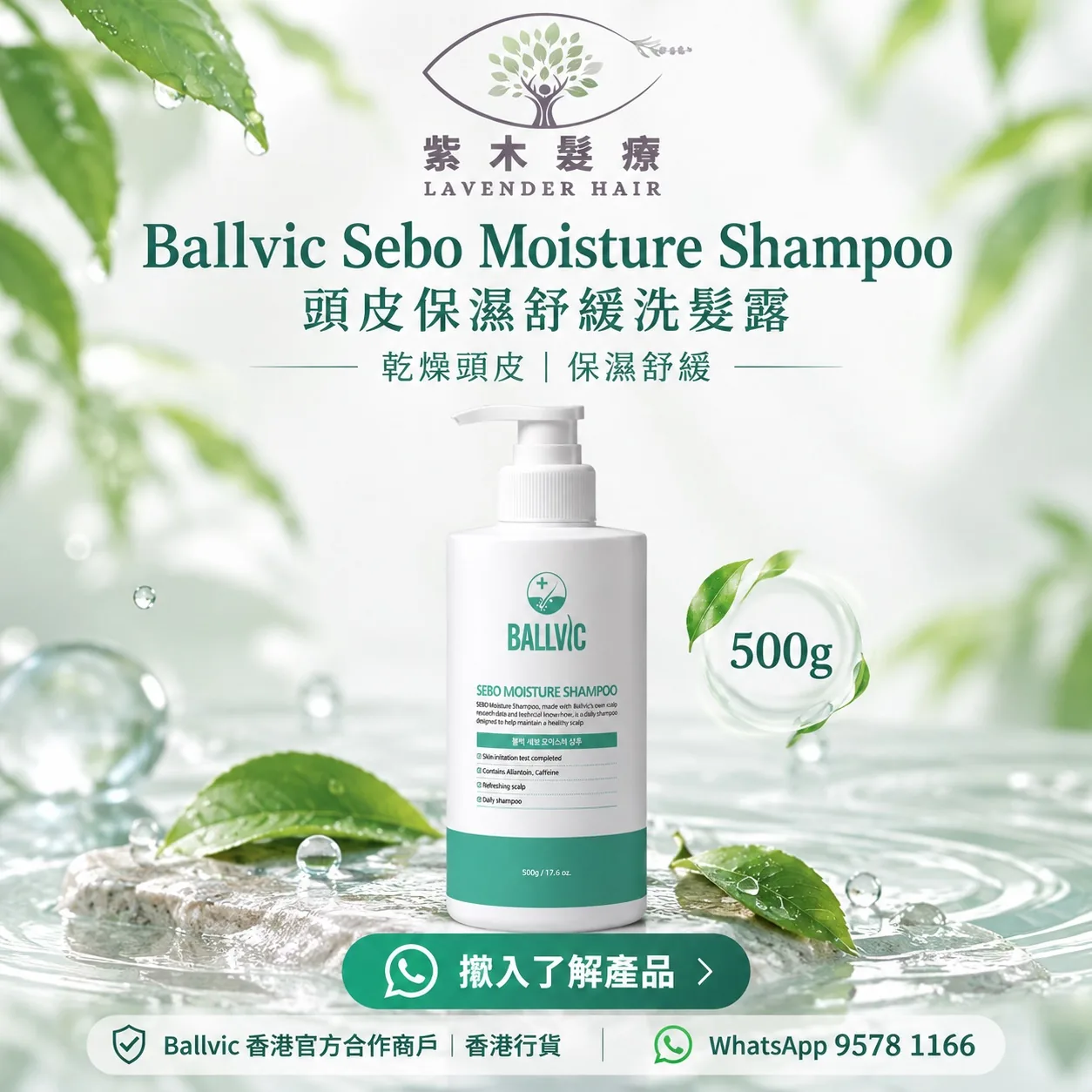Ballvic Sebo Moisture Shampoo 500g