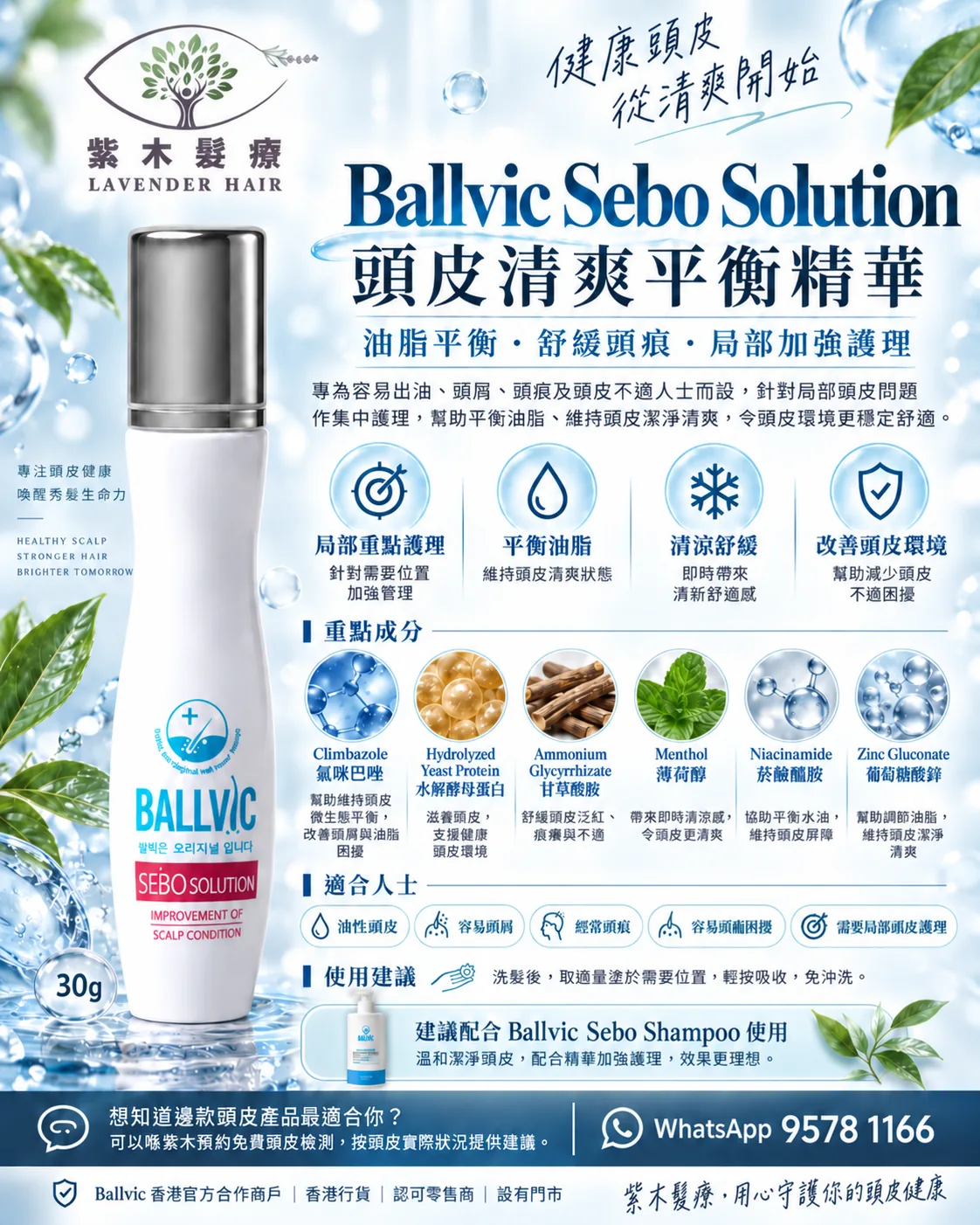 Sebo Solution詳細成分與產品說明圖
